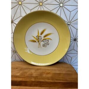 Century Service Corporation‎ Soup Bowls | Autum Gold | 8.25 Inches